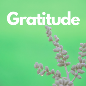 Gratitude - soundtrack